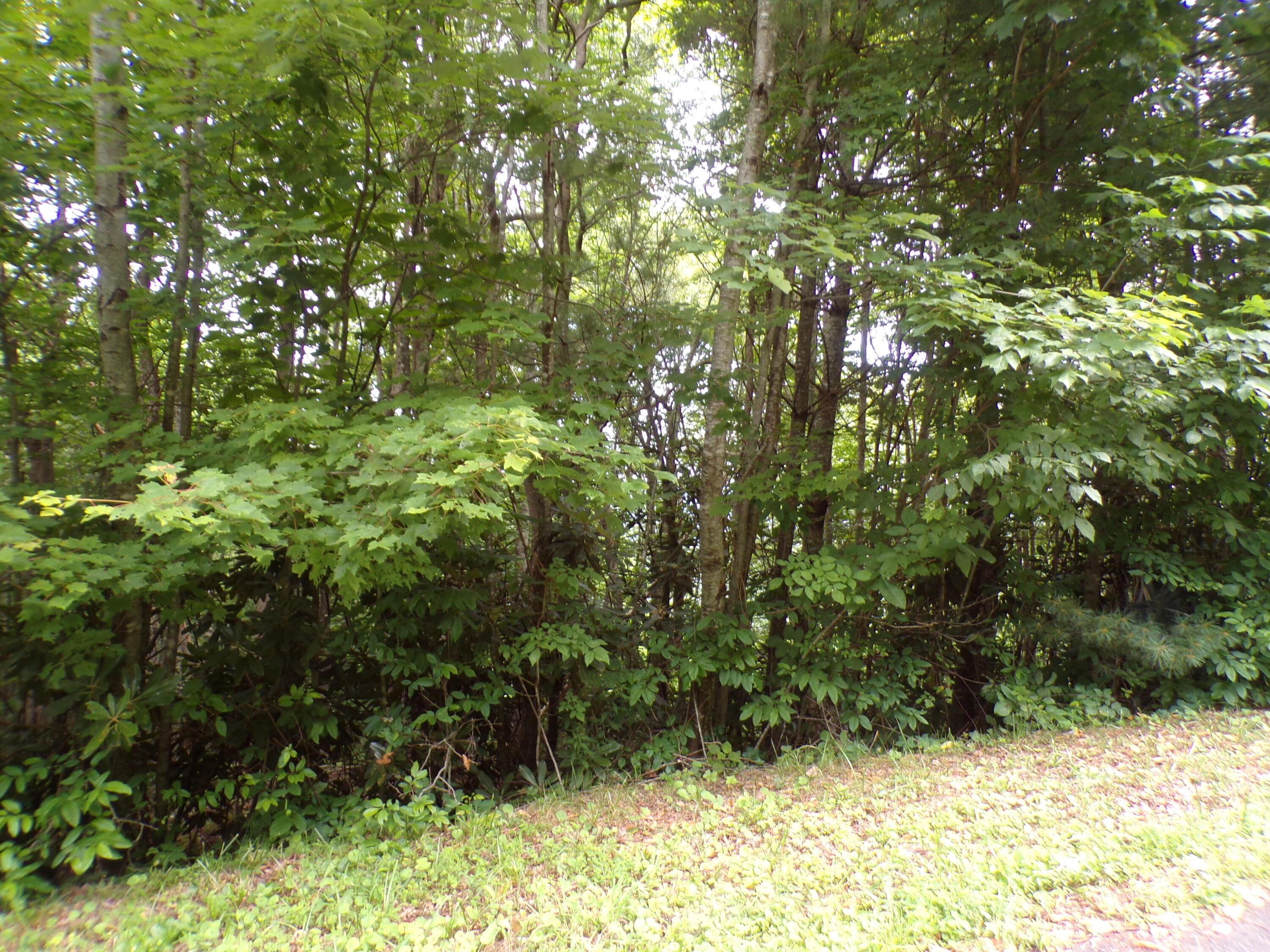 Photo of 2.28 ac land at 000 Callalantee Drive