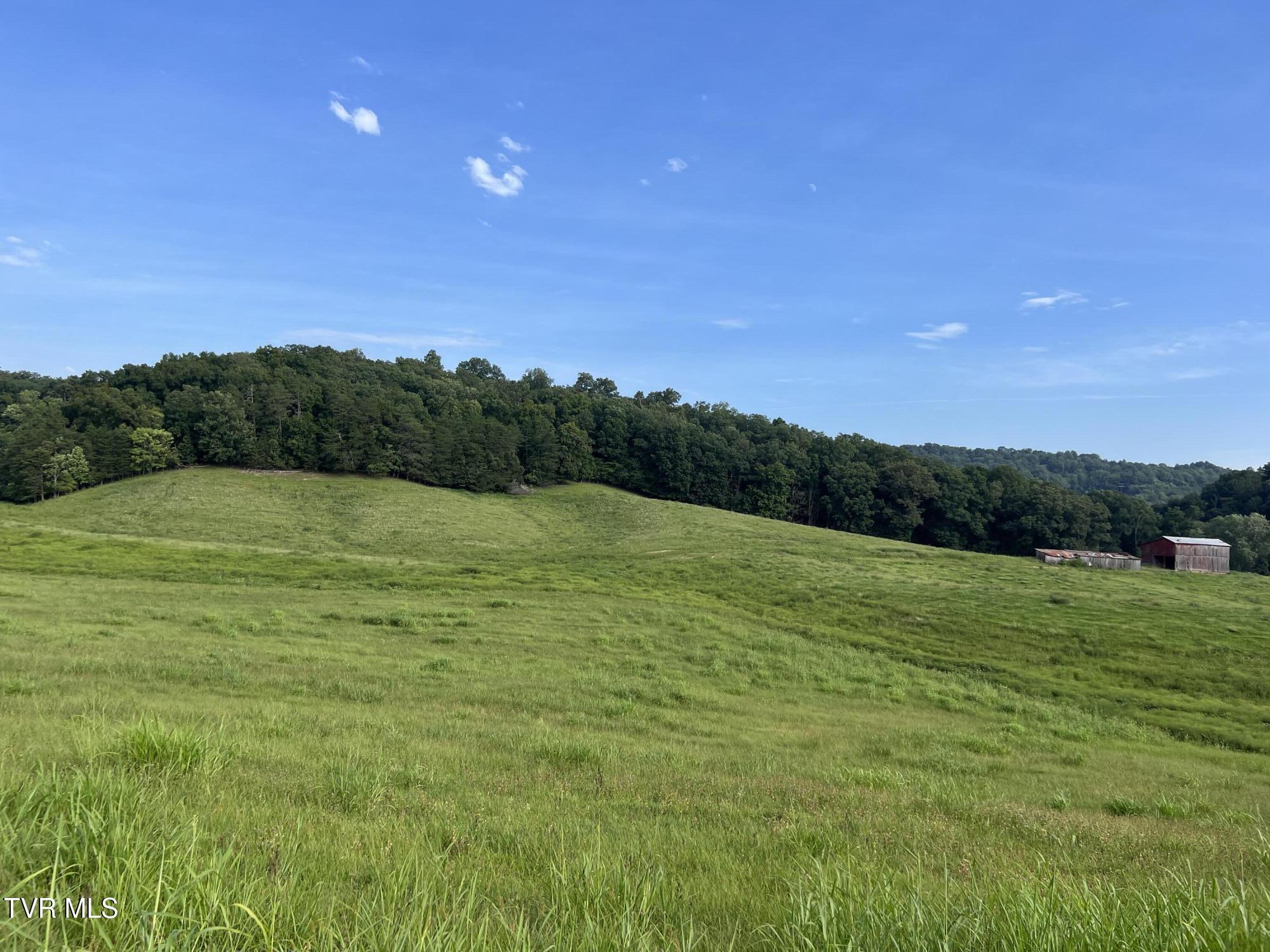 Photo of 54.96 ac land at 00 West Andrew Johnson Highway