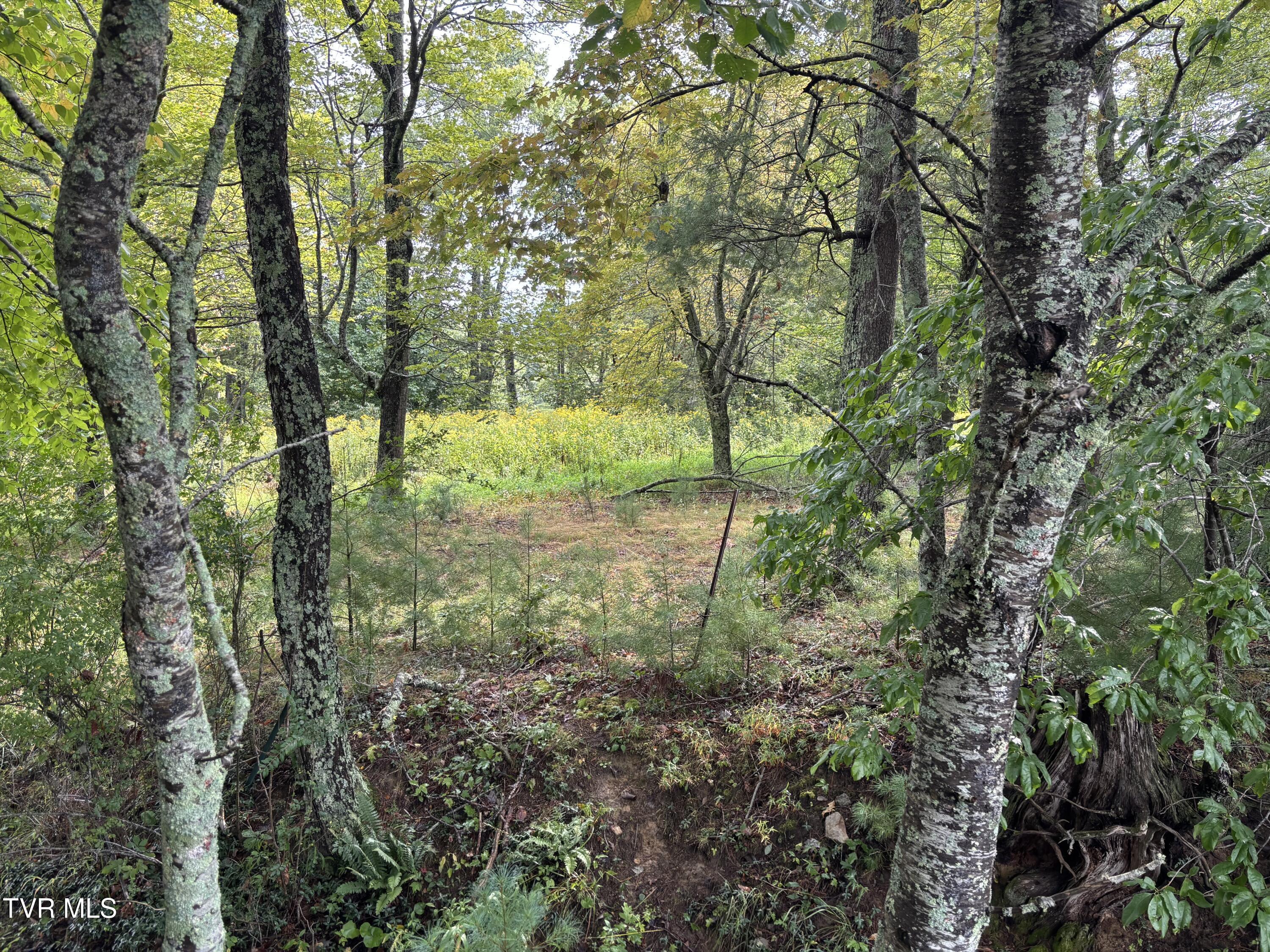 Photo of 1.75 ac land at Lot 3 Locust Gap Road