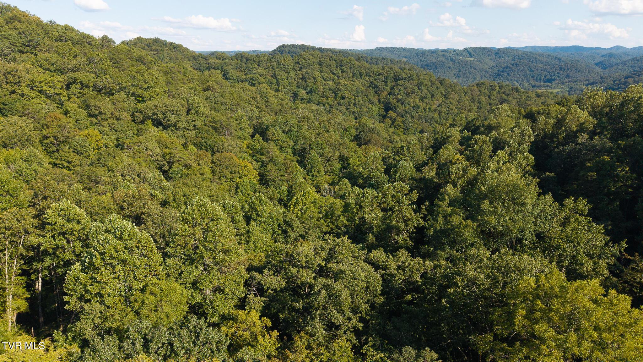 Photo of 32.38 ac land at 32.38 Ac Off Panther Creek Road