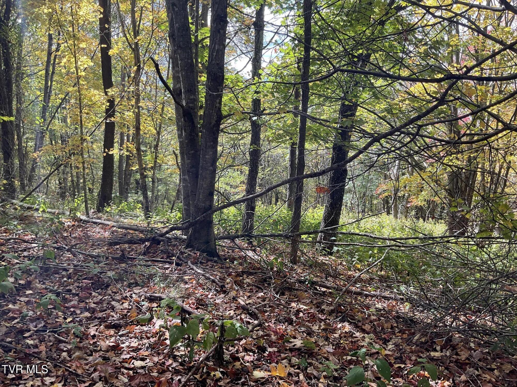 Photo of 29.40 ac land at Tbd Modock Northeast Road