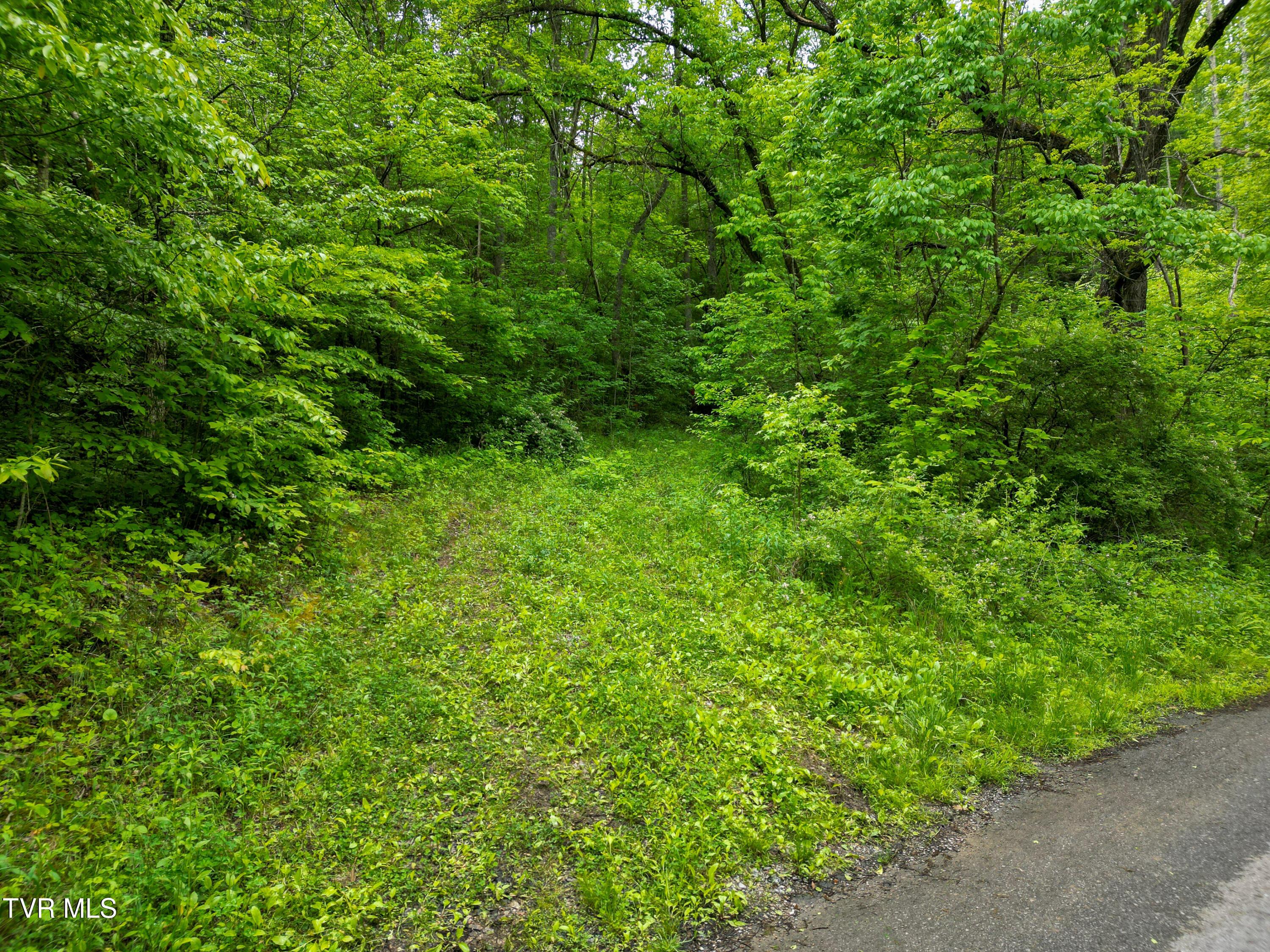 DJI_0267