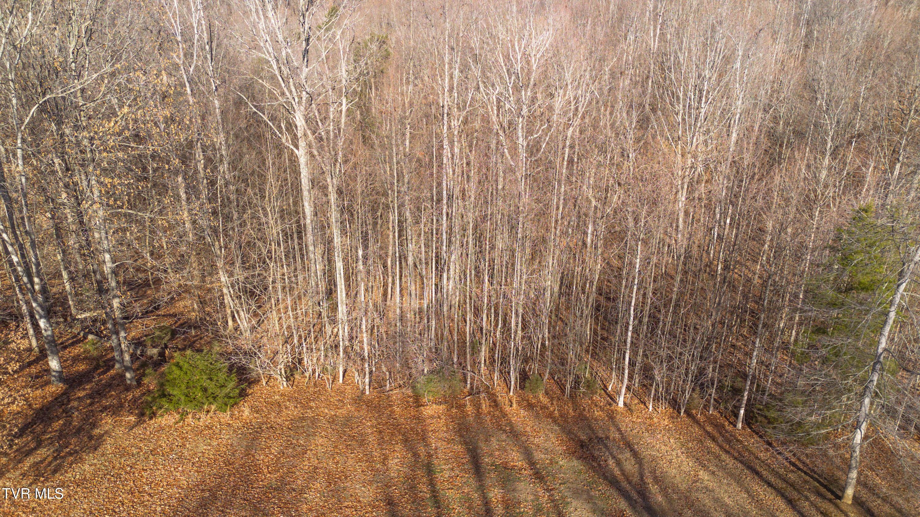DJI_0035