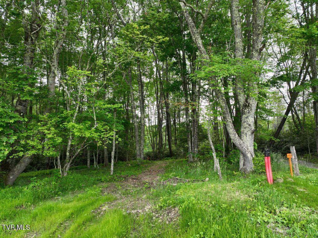 Photo of 0.77 ac land at 1764 Ripshin Mountain Road