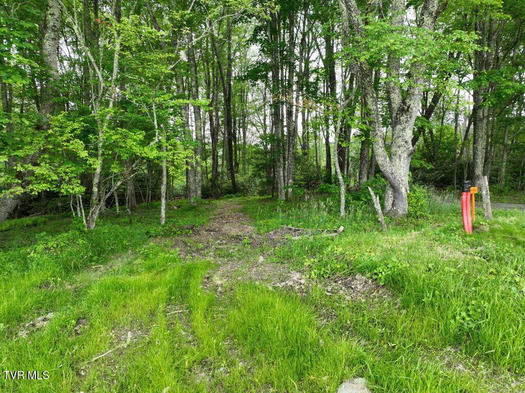 Photo of 0.91 ac land at 1776 Ripshin Mountain Road