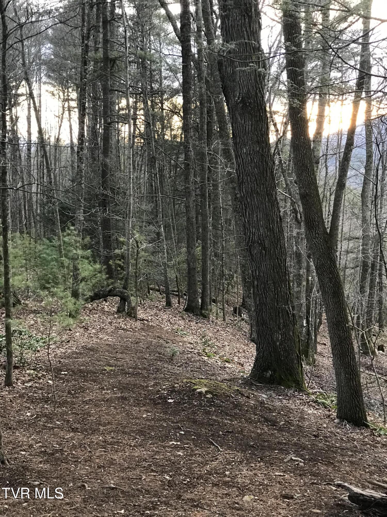 Photo of 4 ac land at Tbd00 Mohawk Drive
