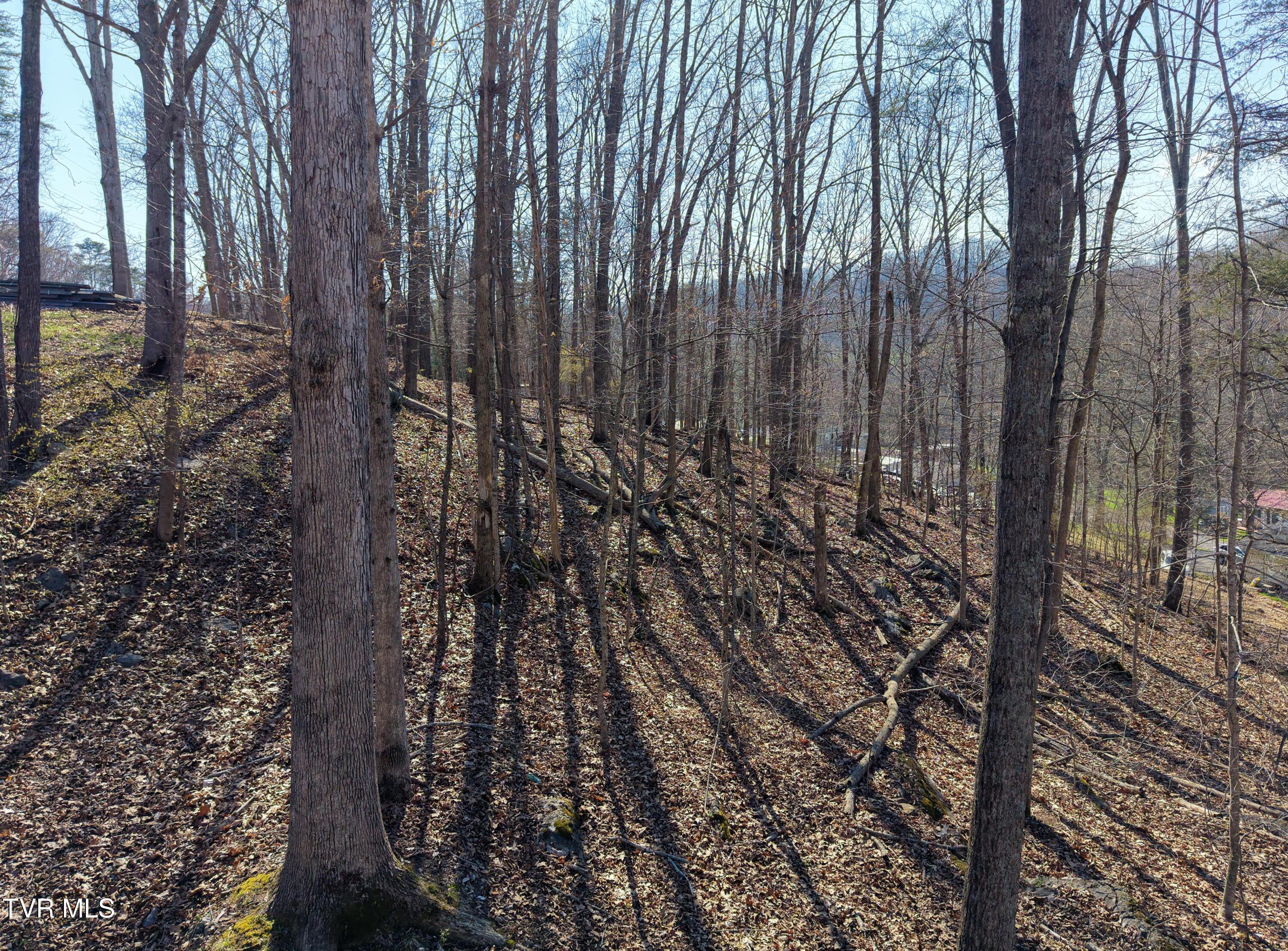 Photo of 0.71 ac land at Tbd Grove Park Drive