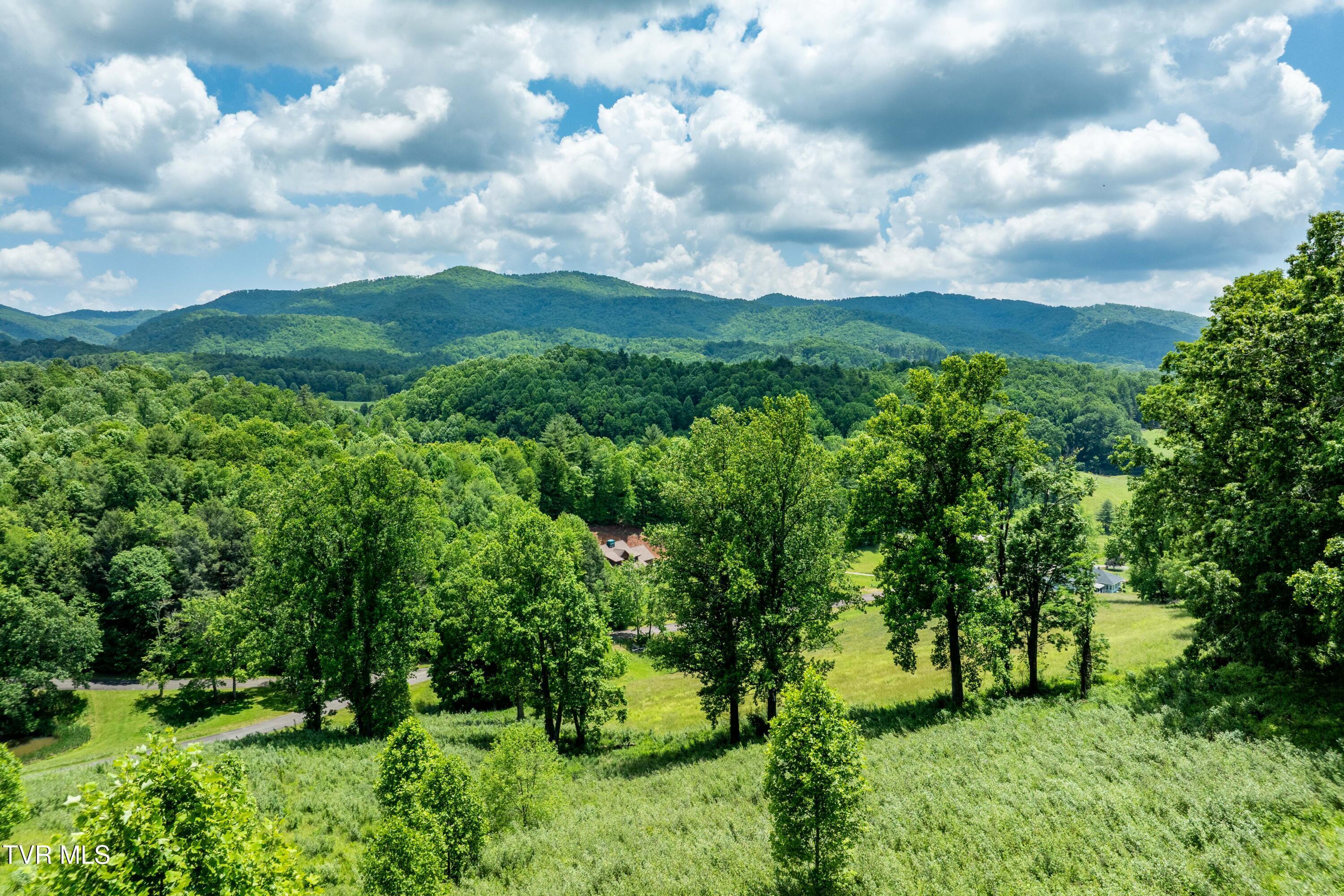 TBD Ridgeview Dr (21 of 43)