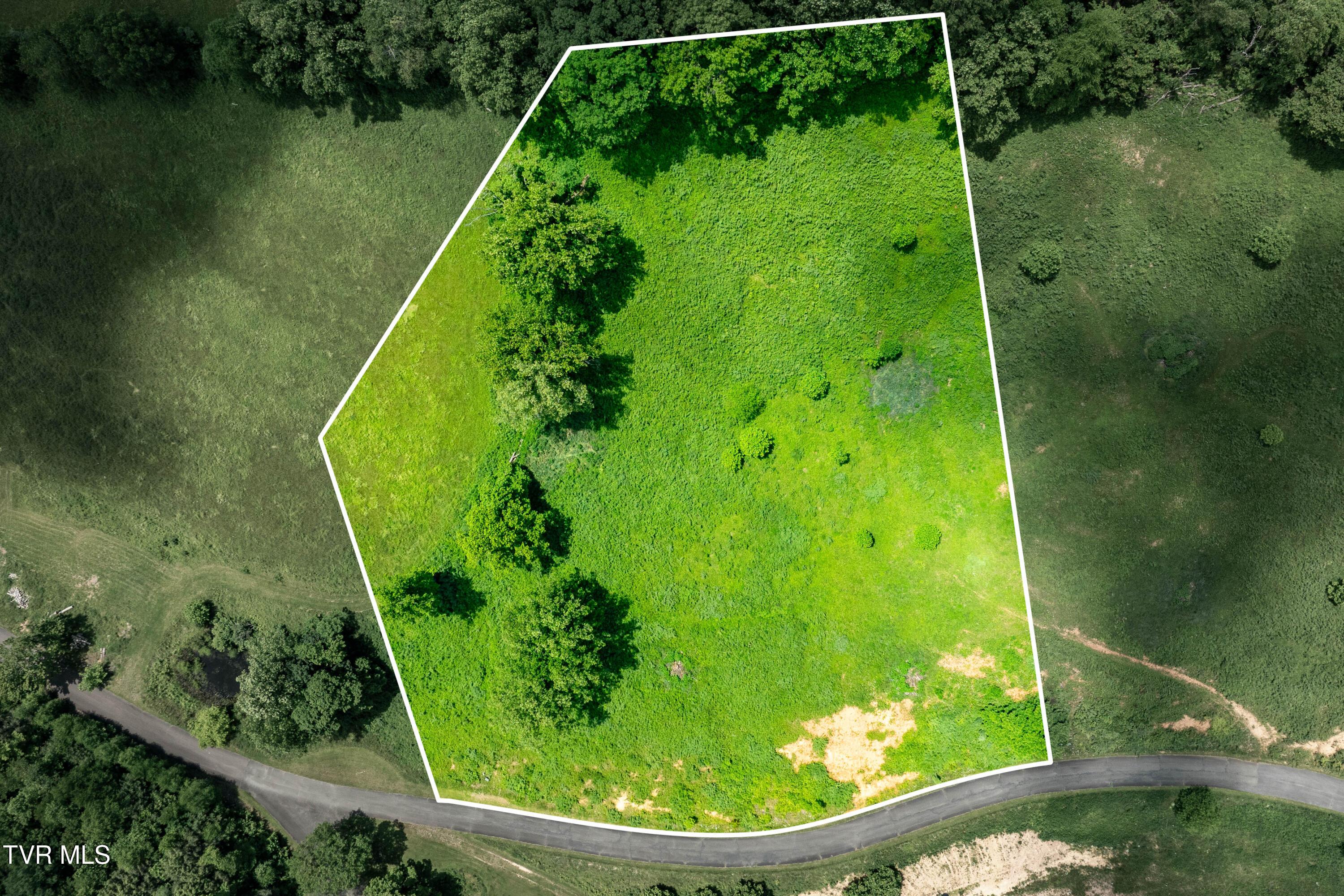 TBD Ridgeview Dr (1 of 43)