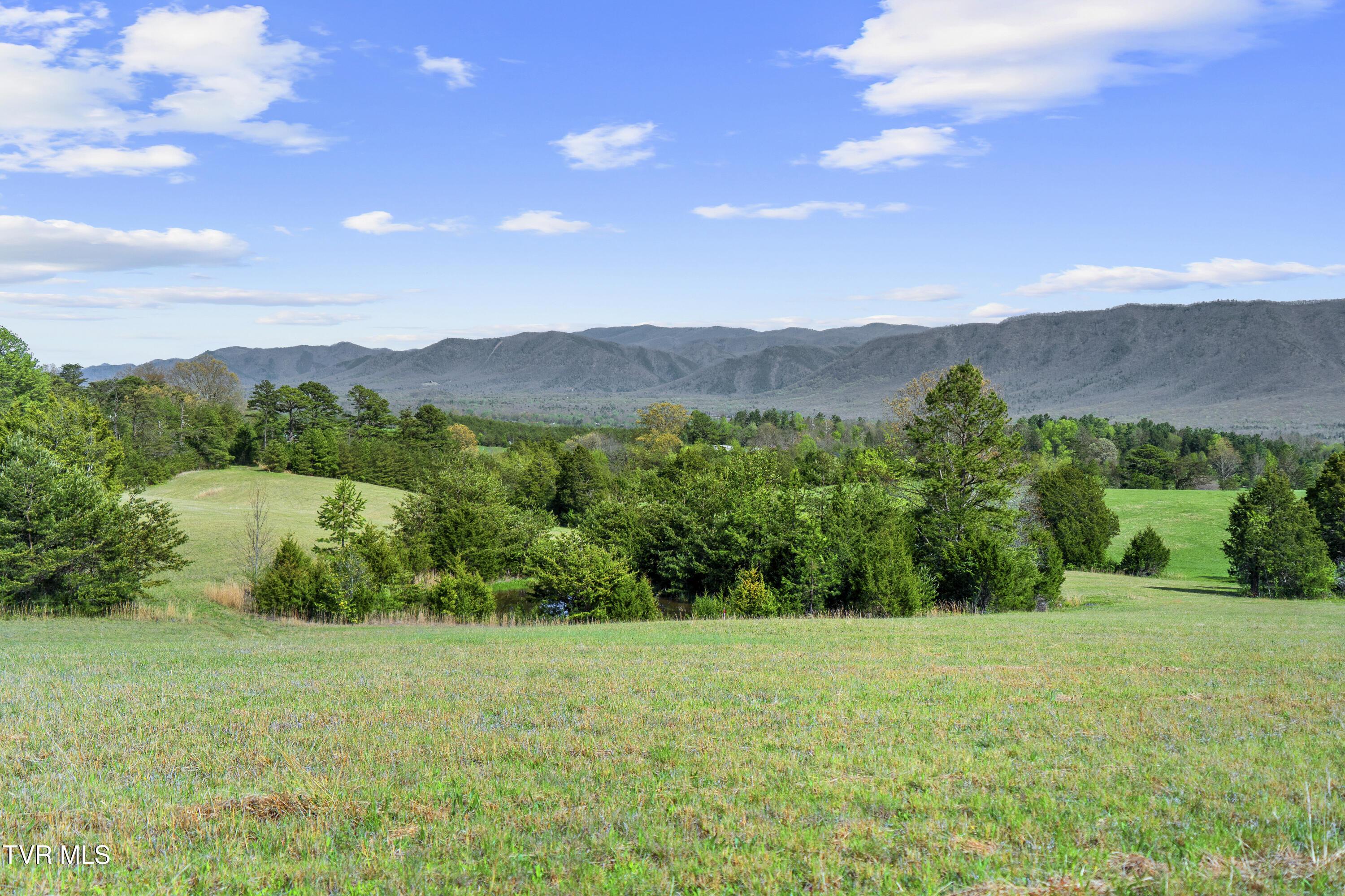 Photo of 10.09 ac land at Tract 9 Ash Meadow Drive