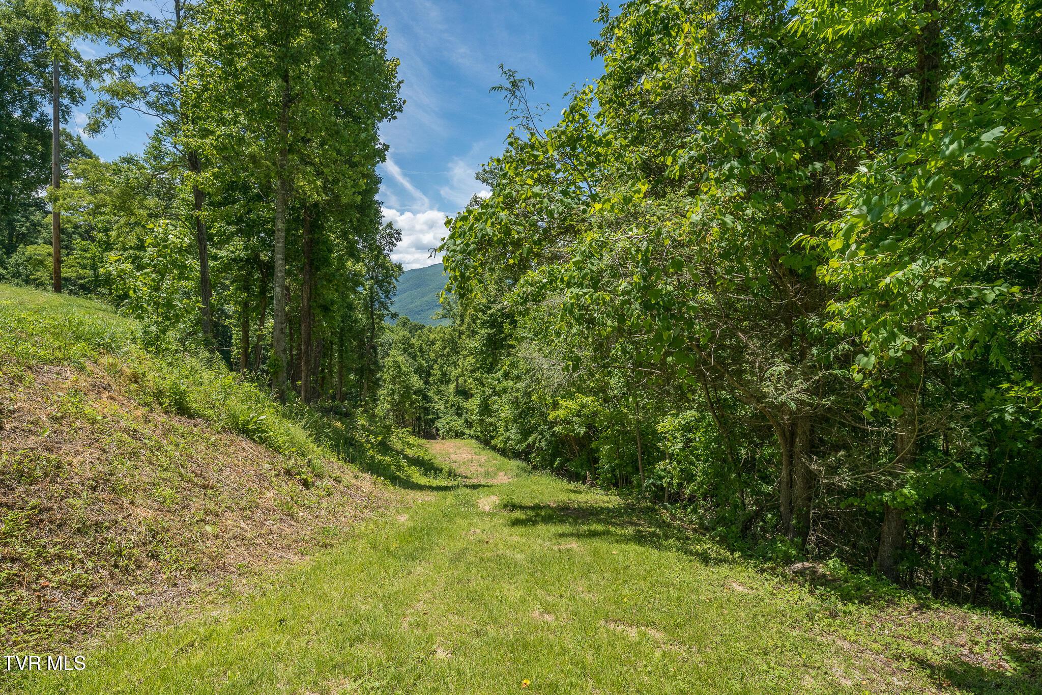 Lot 4 Ridgetop Ln (31 of 34)