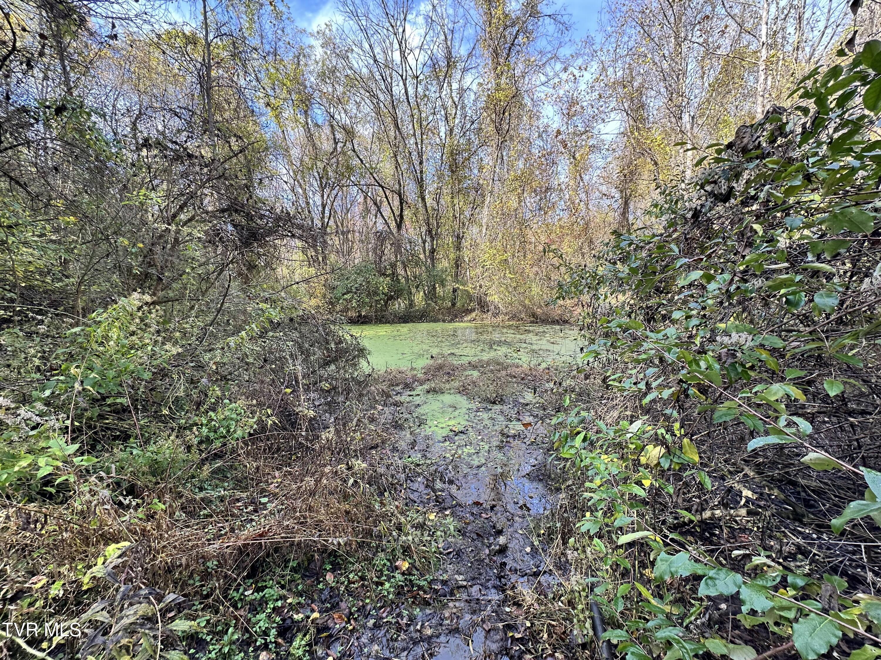 Pond 2