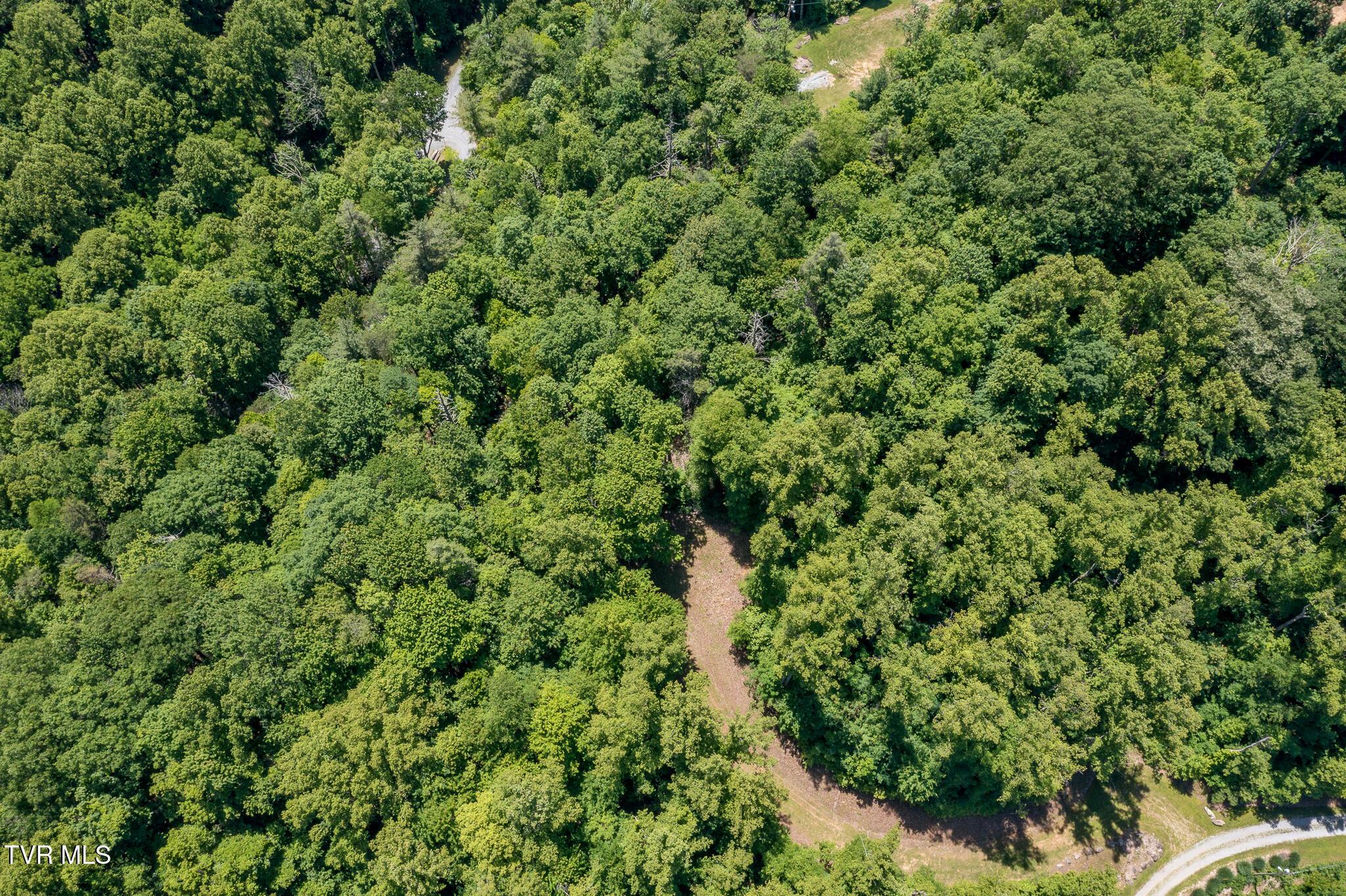 Lot 2 Ridgetop Ln (28 of 47)