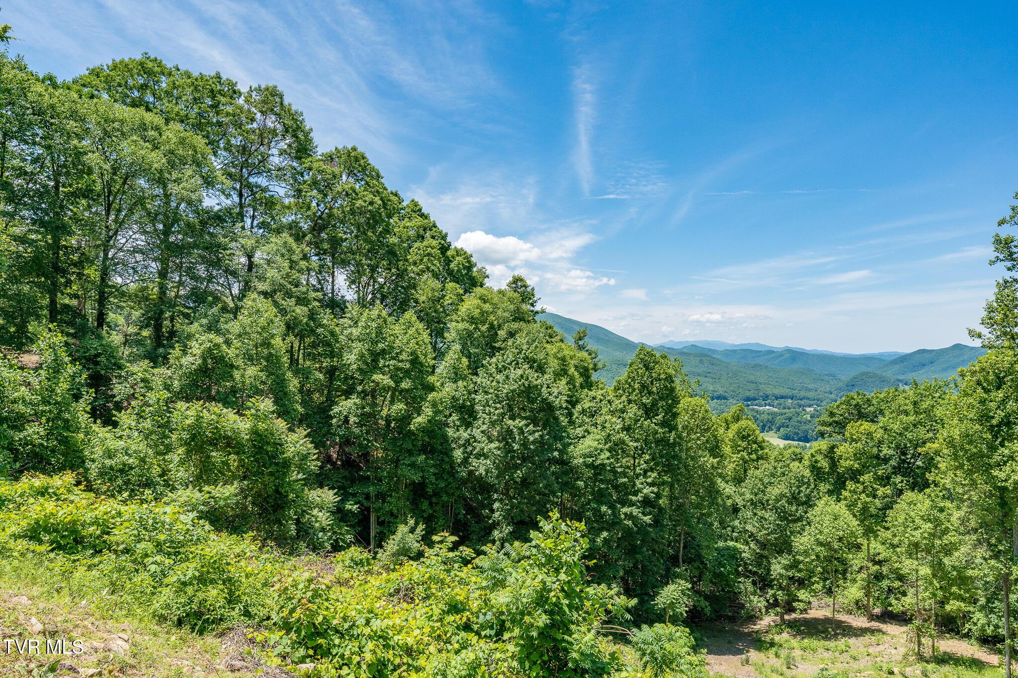 Lot 2 Ridgetop Ln (40 of 47)