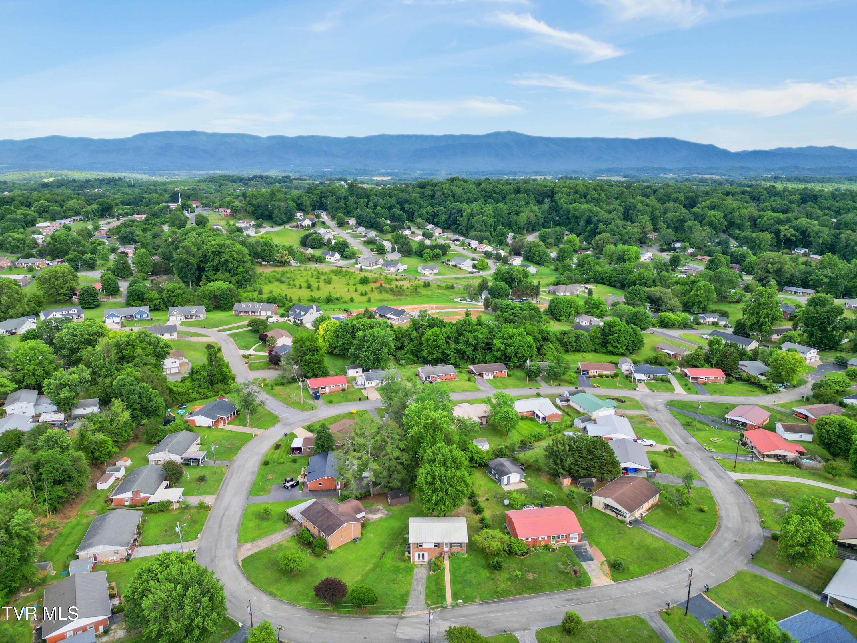 DJI_0307