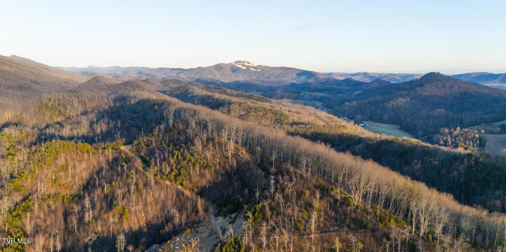 41.31 acre pic 1