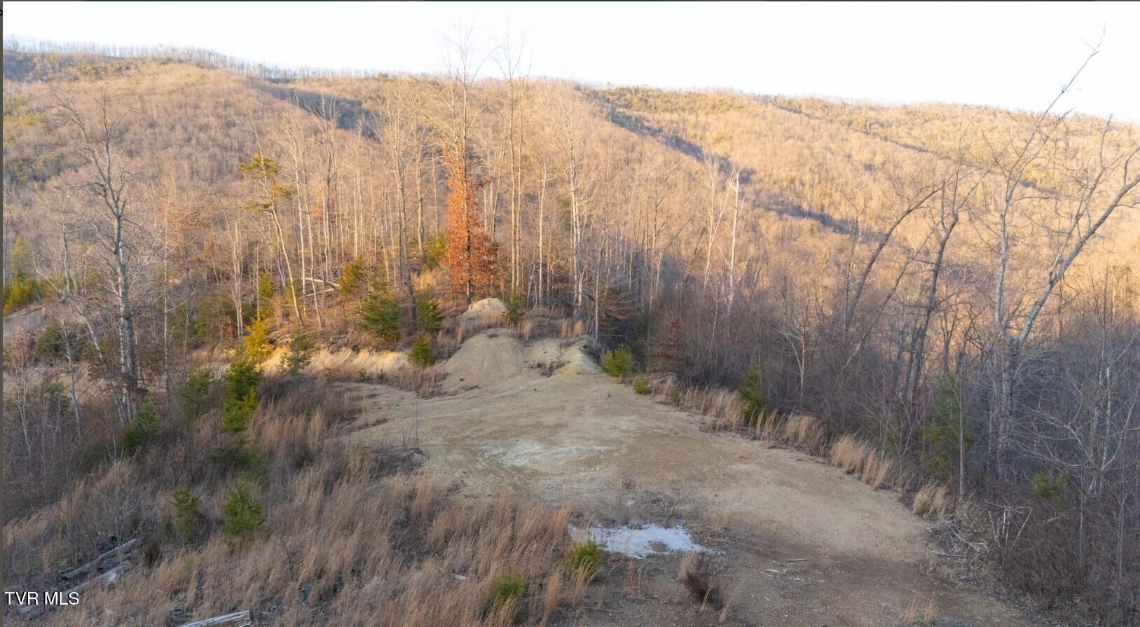 41.31 acre pic 2
