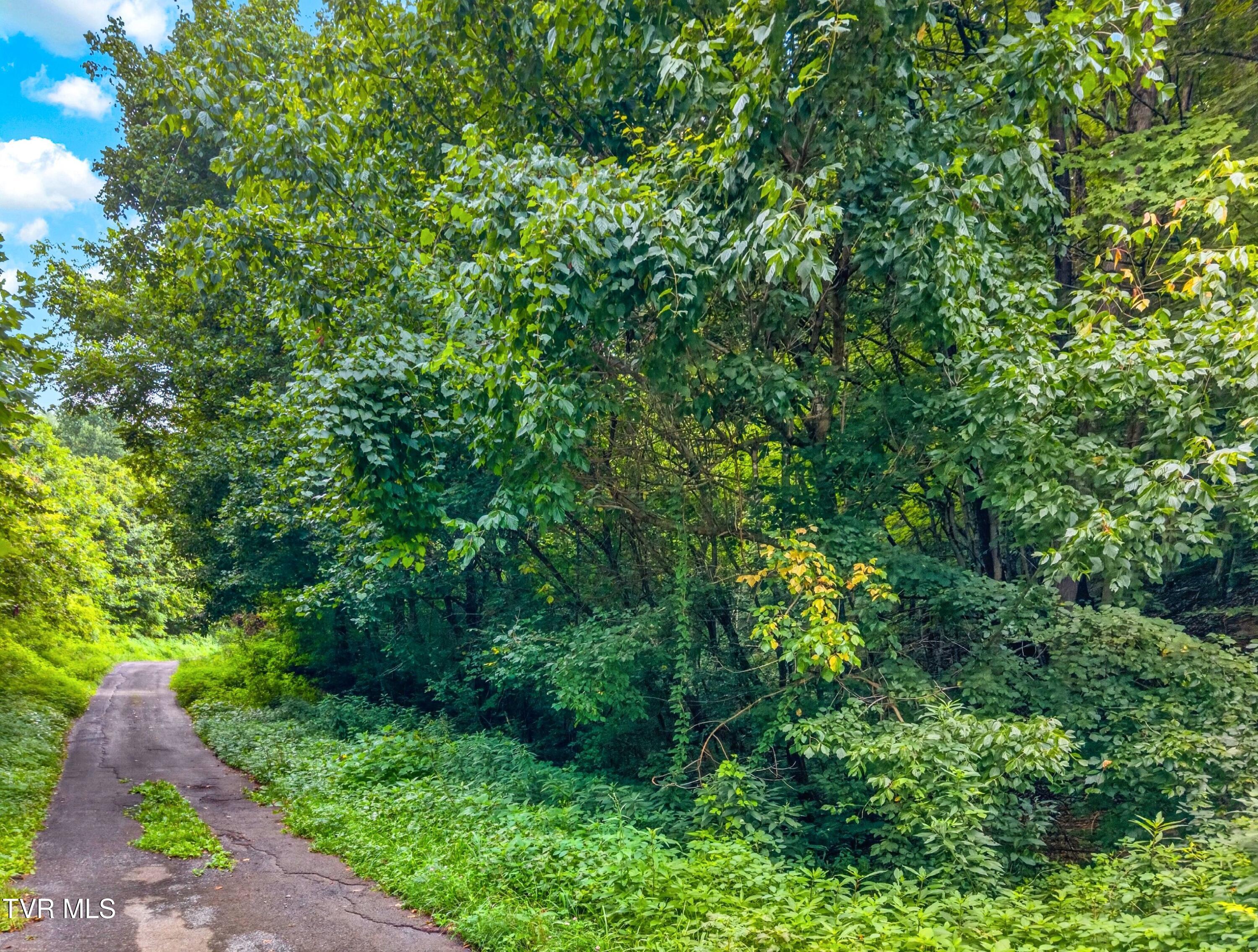002-150McMakinRoad-TN-37857-SMALL