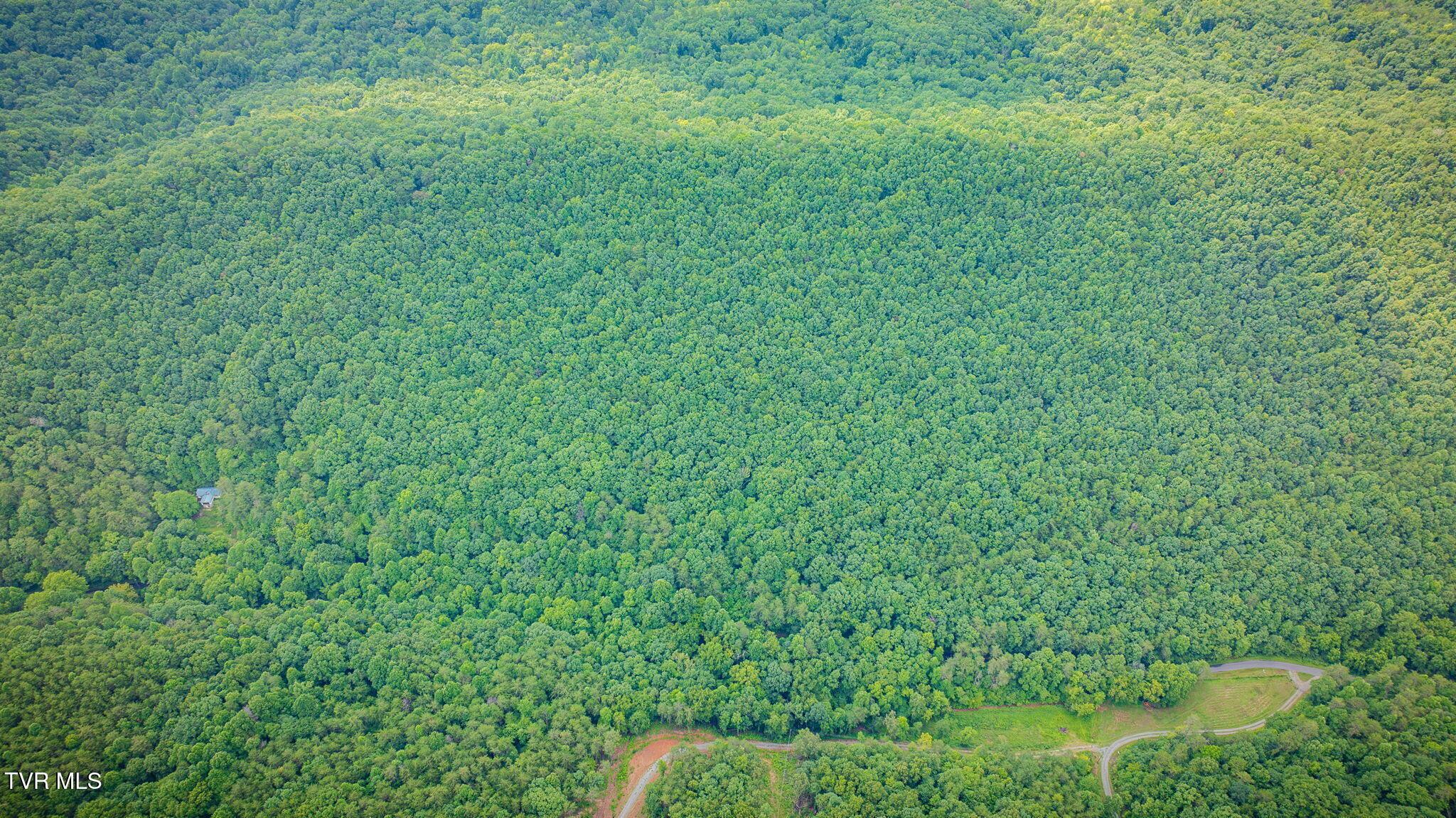 Photo of 24.83 ac land at Tbd Speedwell Church Rd 1