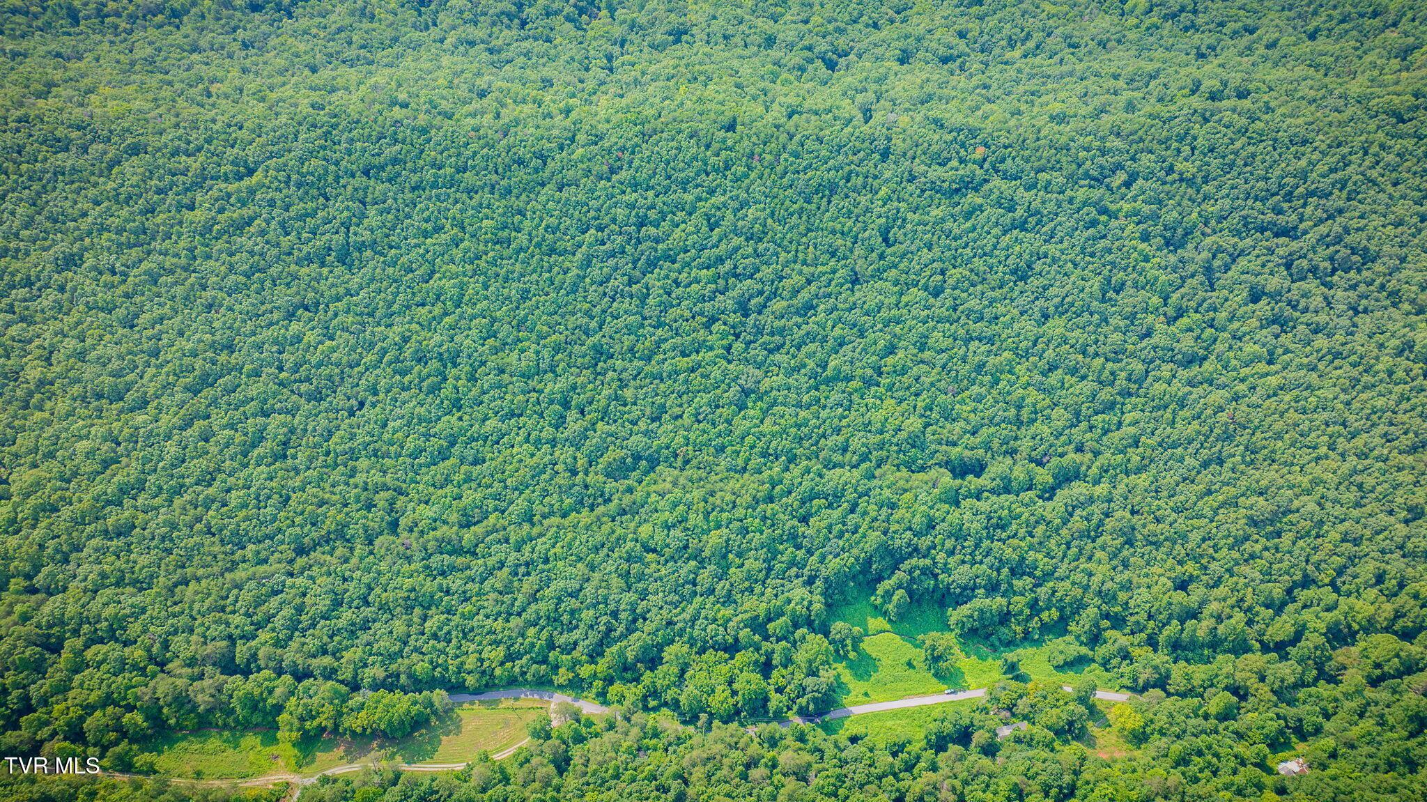 Photo of 26.21 ac land at Tbd Speedwell Church  Rd 2