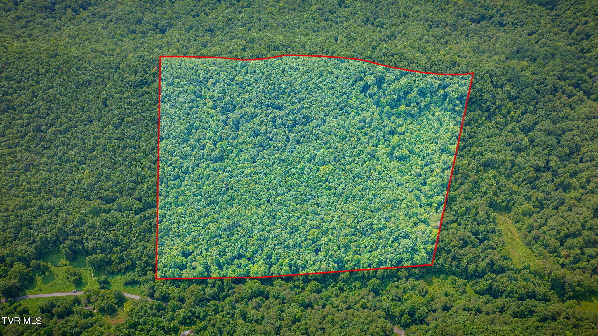 Photo of 29.24 ac land at Tbd Speedwell Church Rd 3