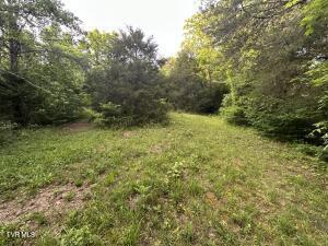 Photo of 92 ac land at 000 Carlos Road