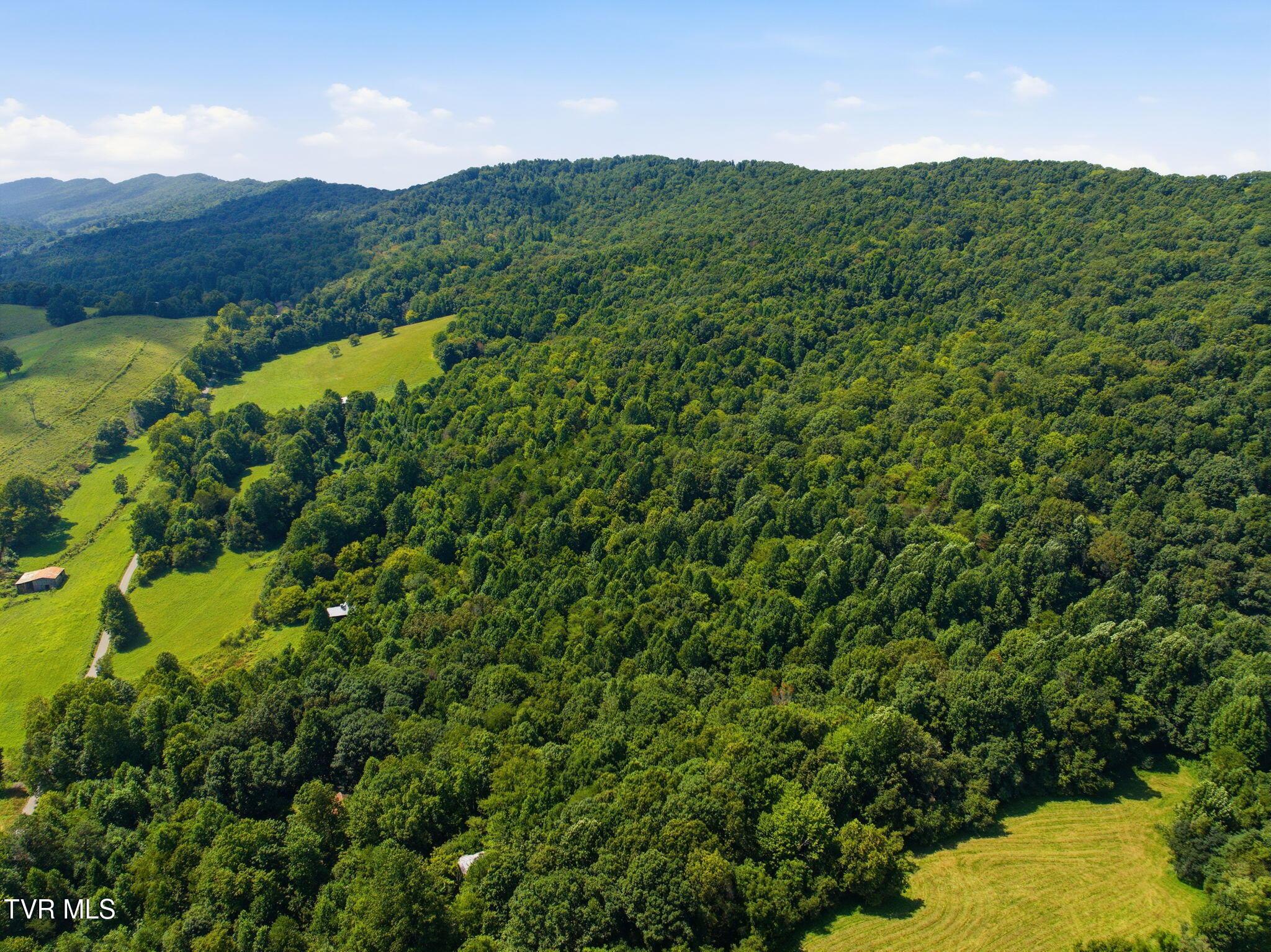 3-web-or-mls-003_JH 20260816-014