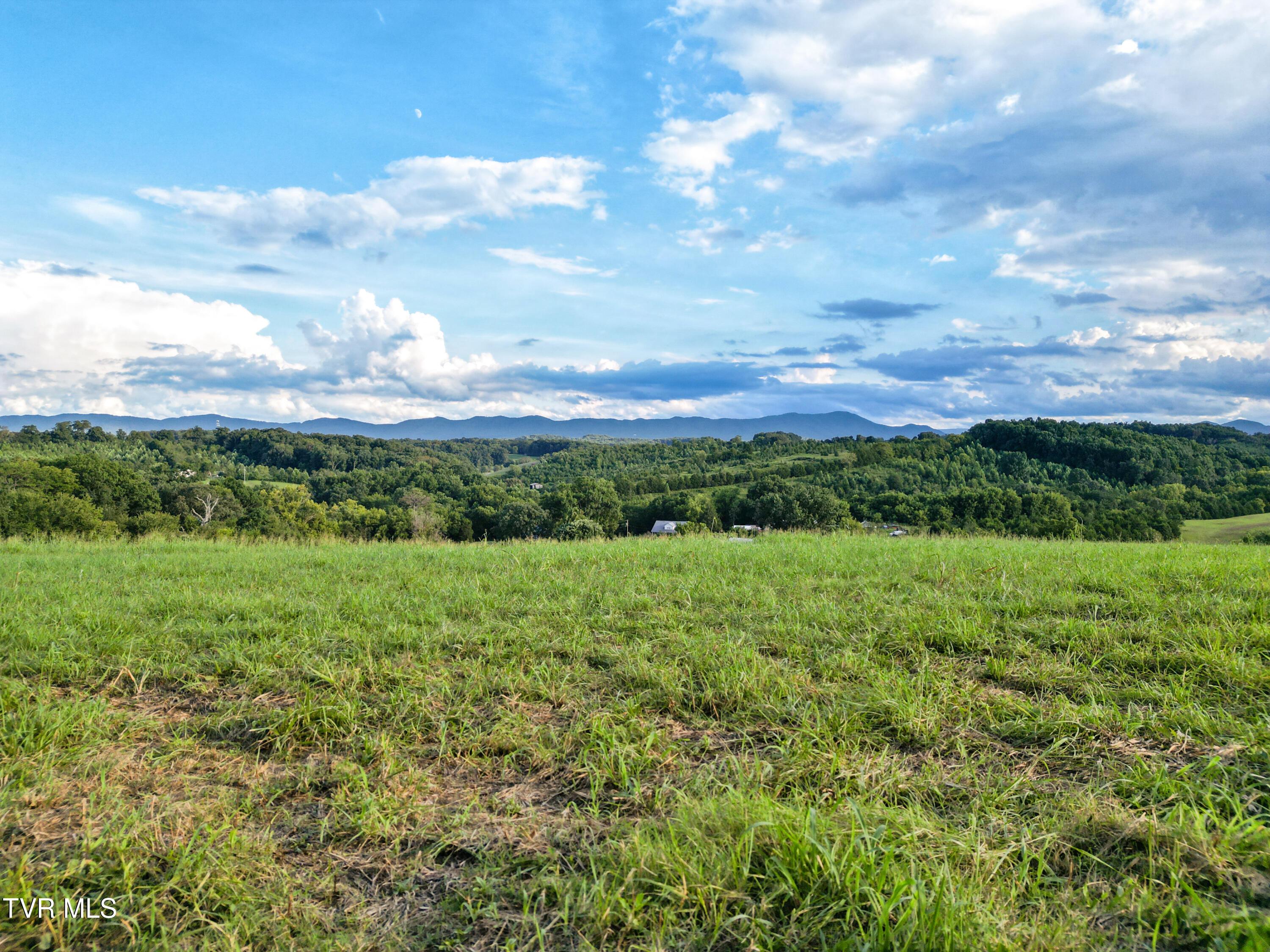 DJI_0403