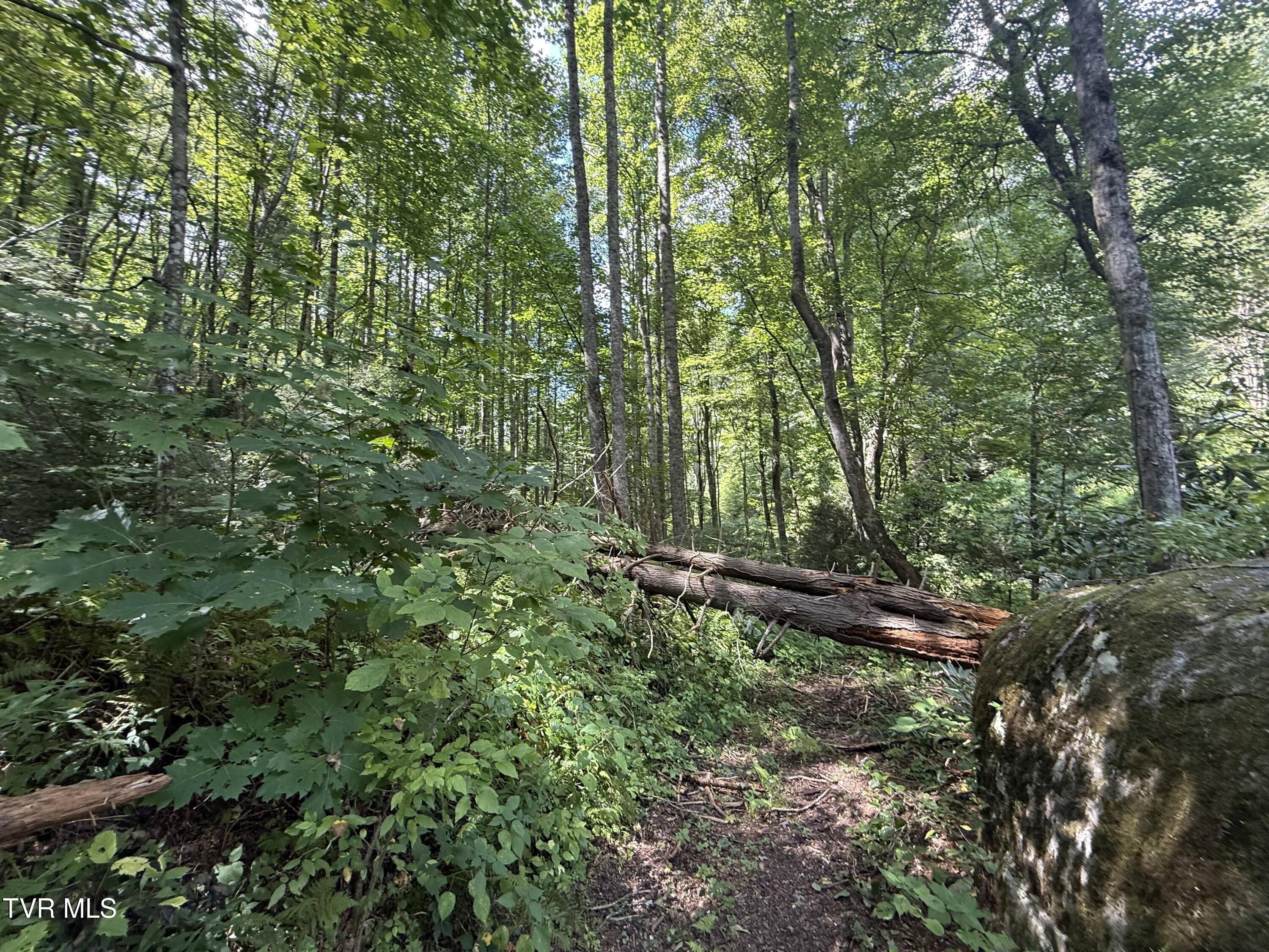 Photo of 15.17 ac land at Tbd Dennis Cove Rd Road