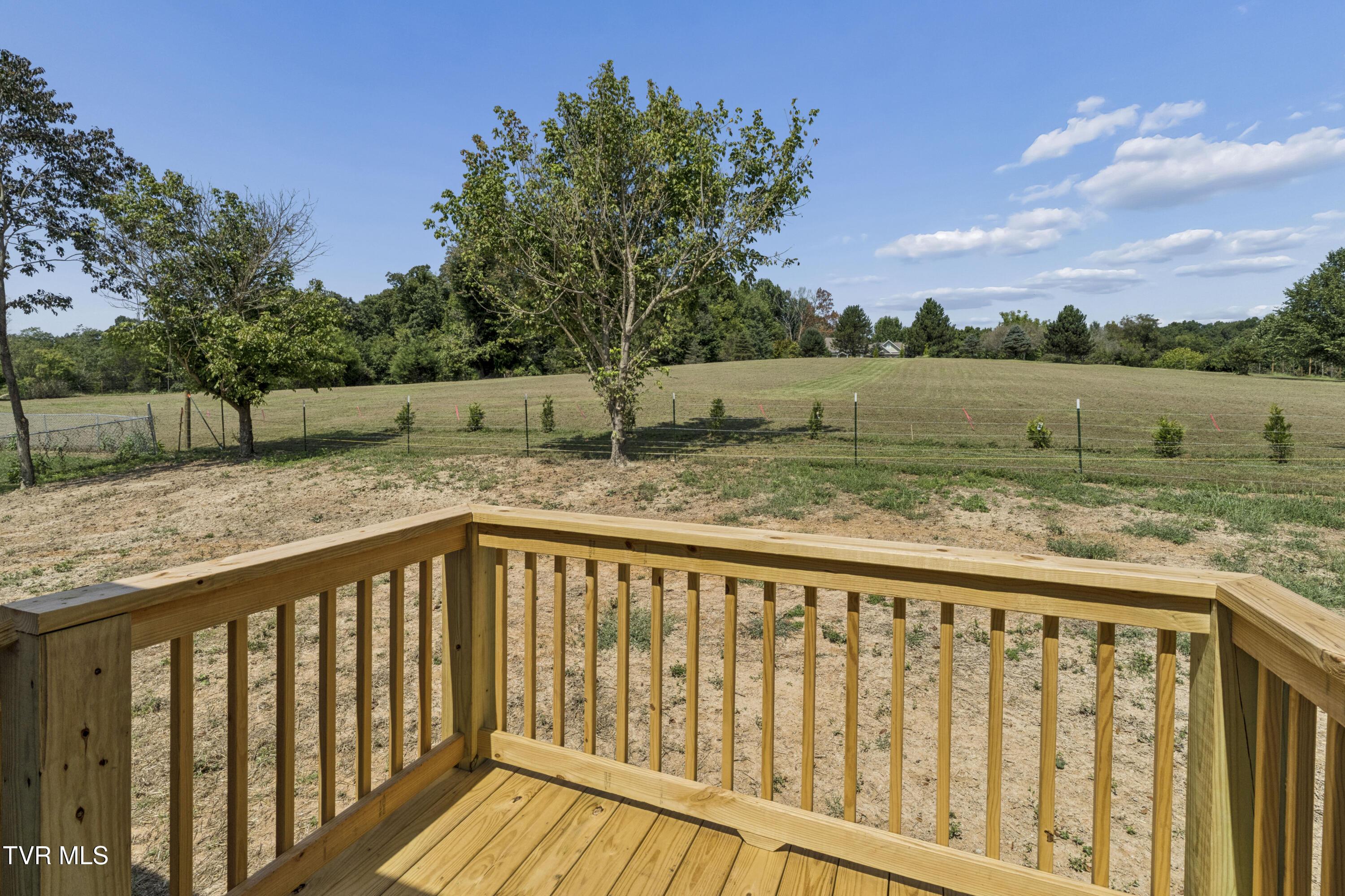 Back Porch View
