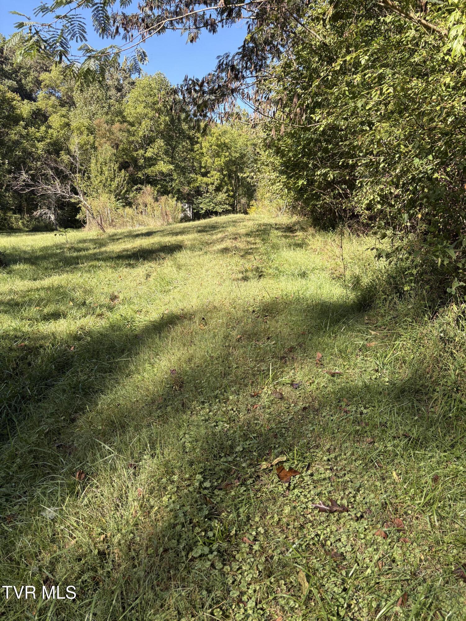 Photo of 33 ac land at 000 Goshen Valley Road