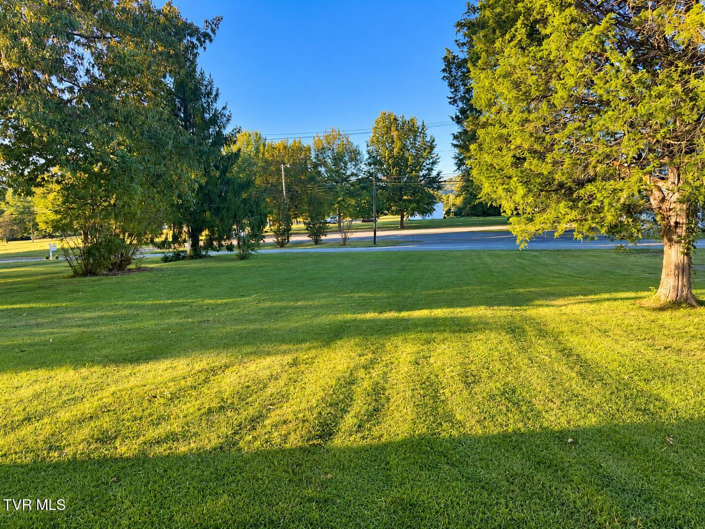 Sunlit Suburban Lawnscape