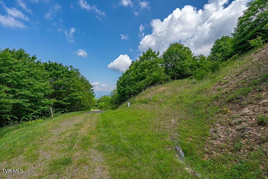 Photo of 8 ac land at C206 Buffalo Nvno