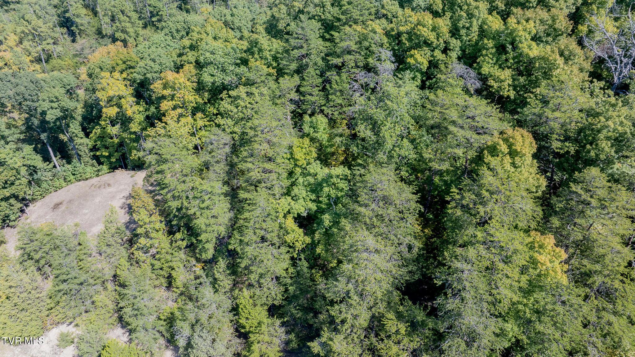 dji_fly_20261002_125812_0371_17909606303