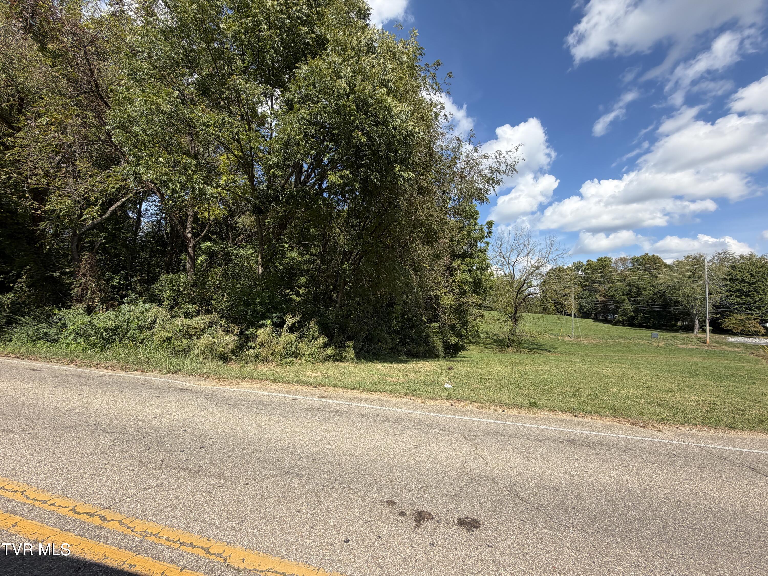 Photo of 1.55 ac land at 00 Erwin Highway