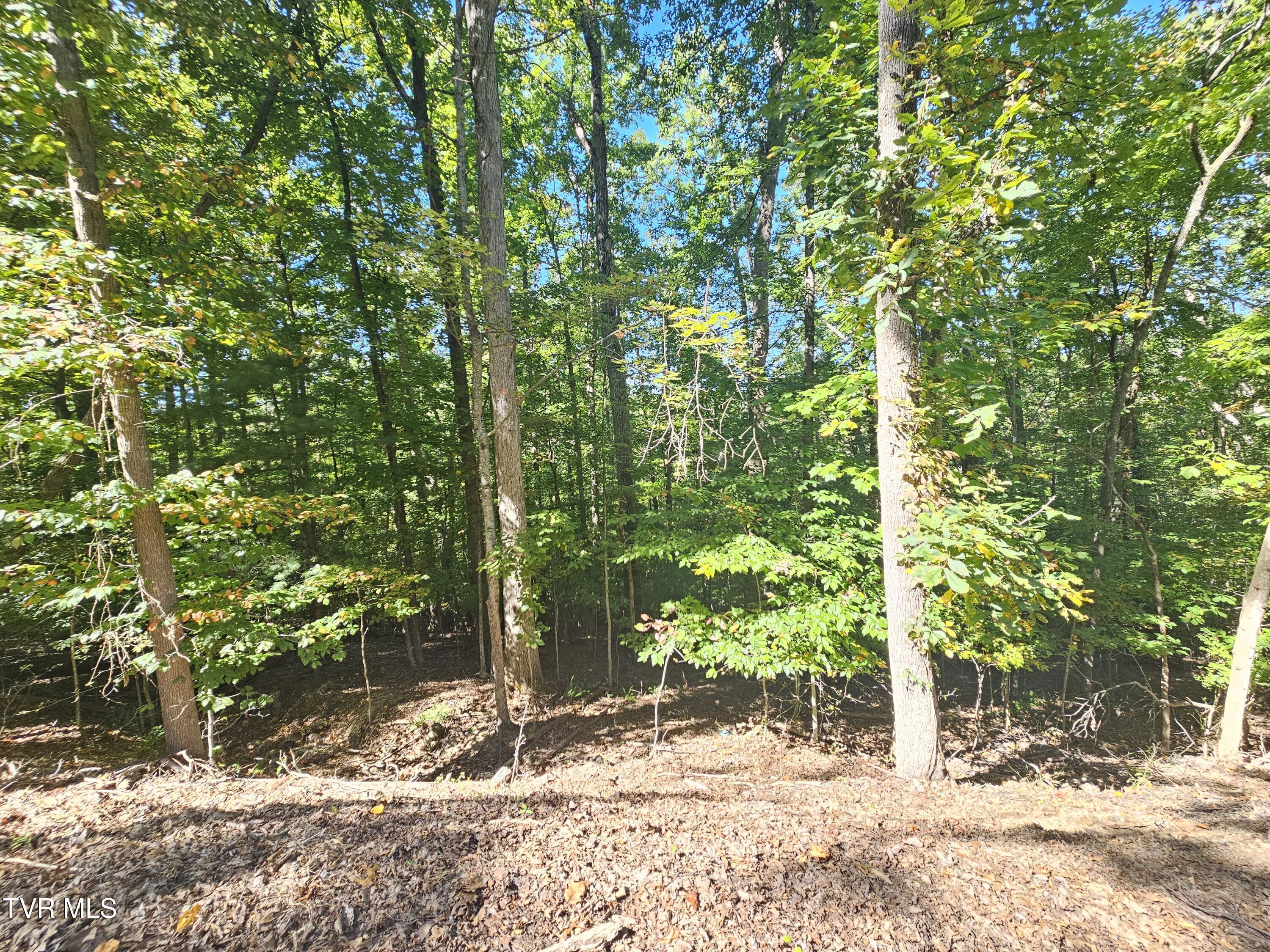 Photo of 0.65 ac land at Lot 4 Skyline Drive
