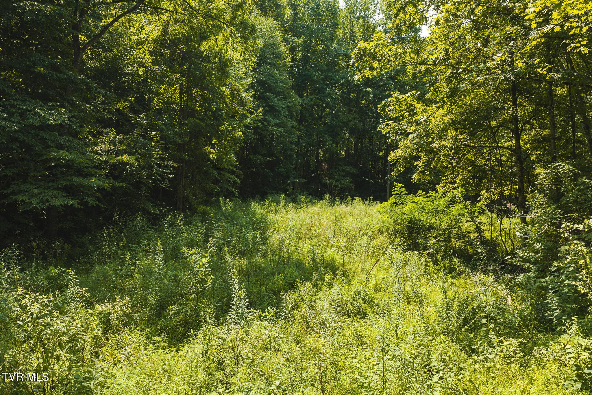 DJI_20260810131445_0428_D