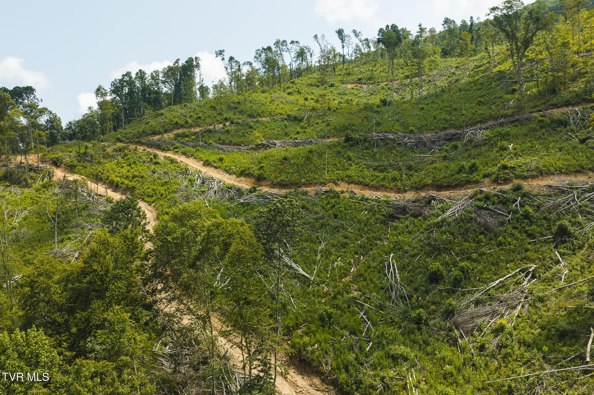 Photo of 162.33 ac land at Tbd Snake Hollow Road