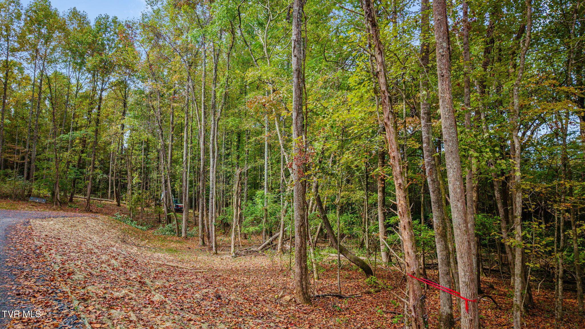 Photo of 5.22 ac land at Lot 4 Mary Patton Highway