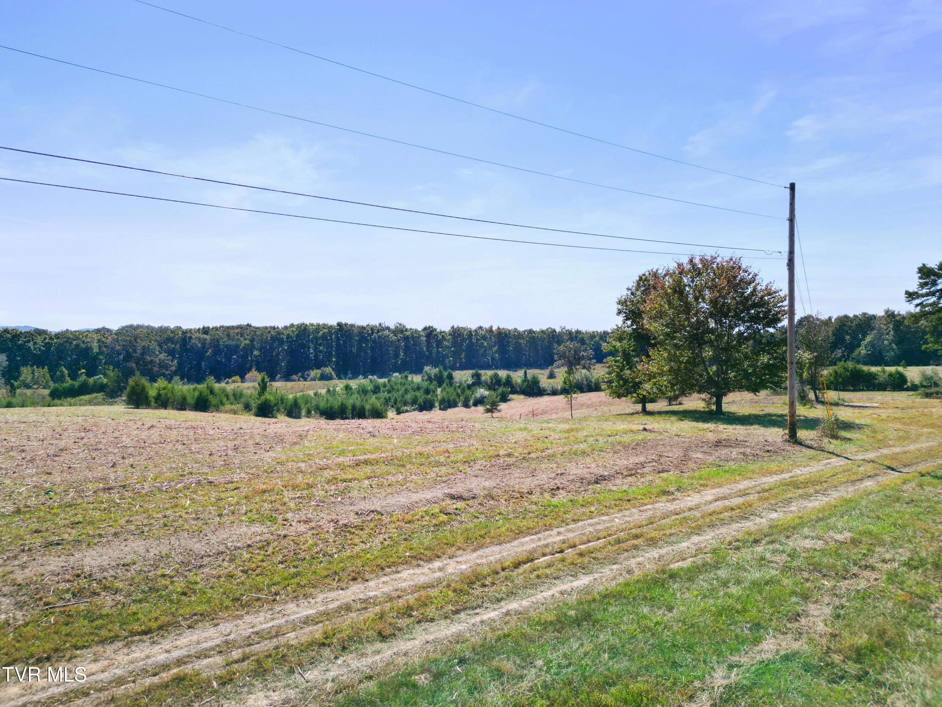 DJI_0509