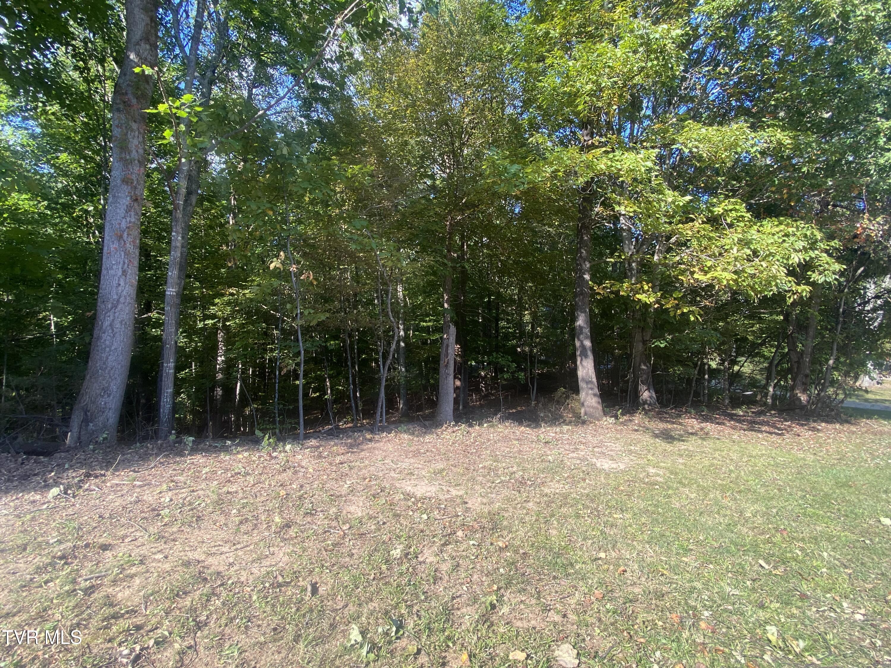 Photo of 1 ac land at 139 Allison Timbers Road