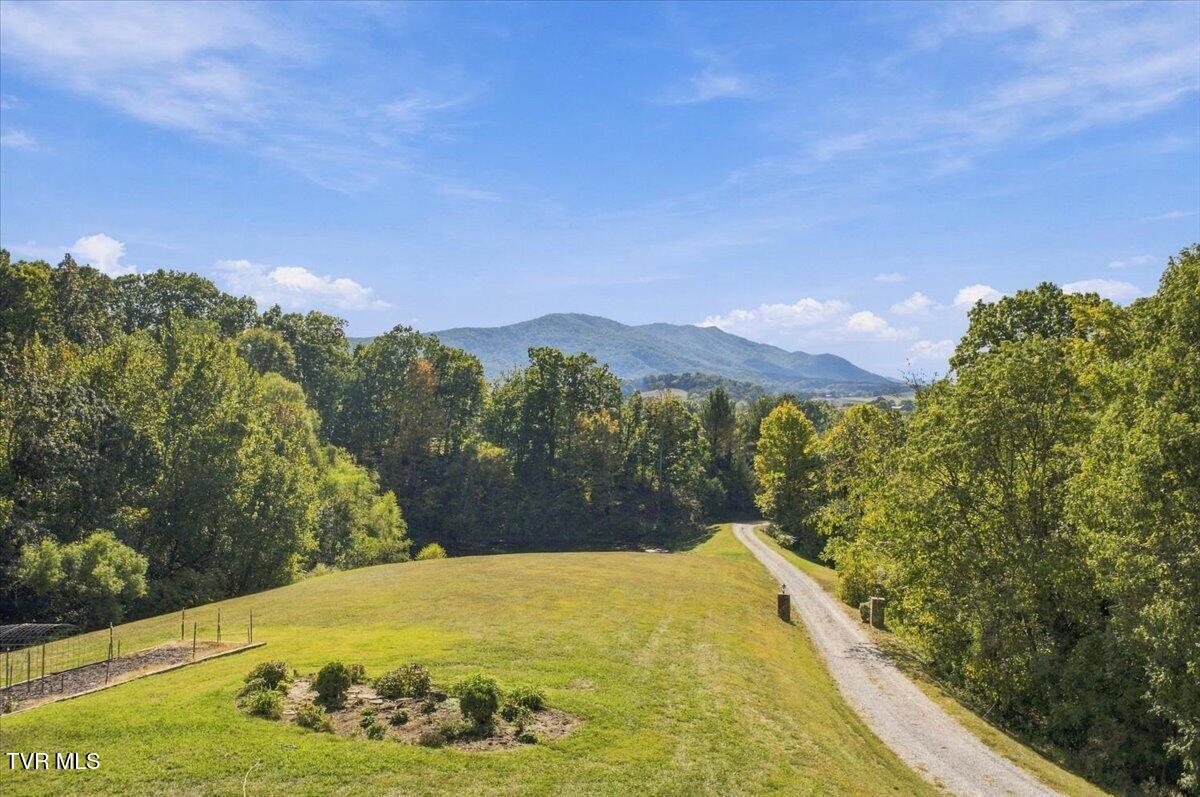 Views From Porch