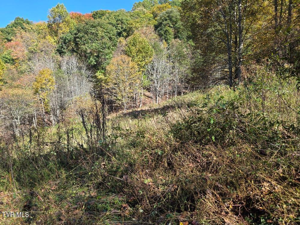 View to wooded are at the top