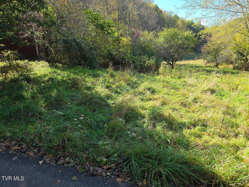 View of cleared acreage