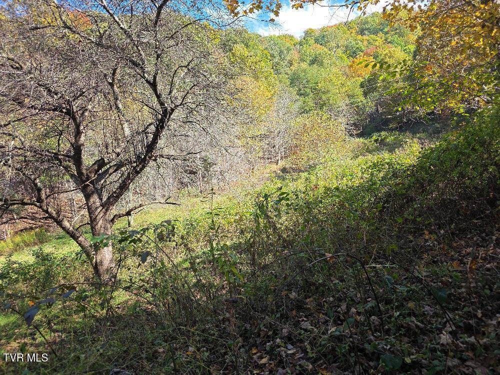 Photo of 19.38 ac land at Parcel 2 Miller  Road