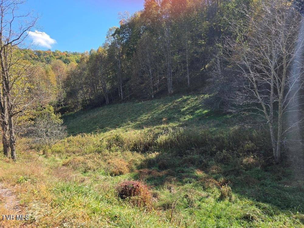 Toward woods