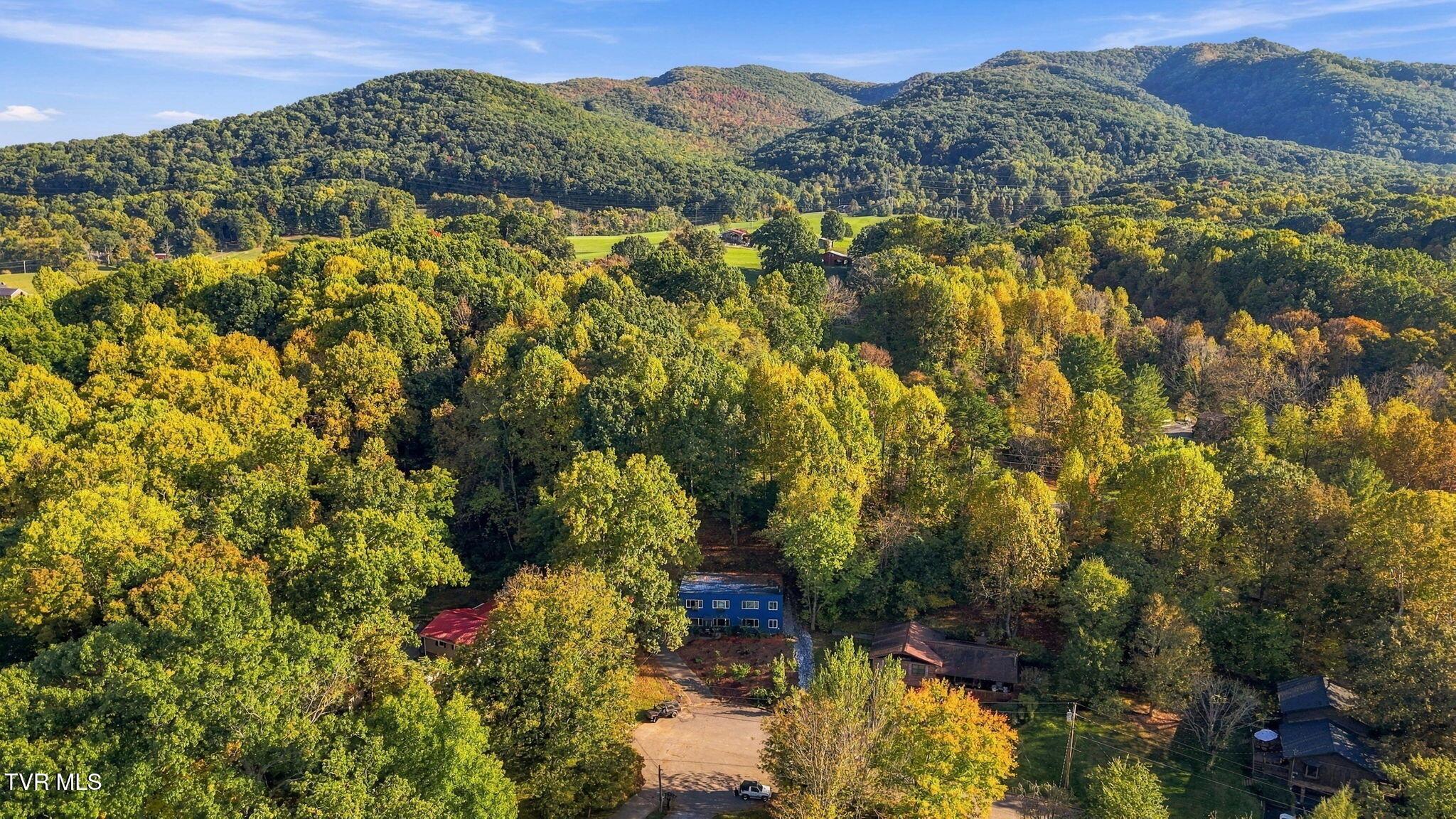 Buffalo Mountain View
