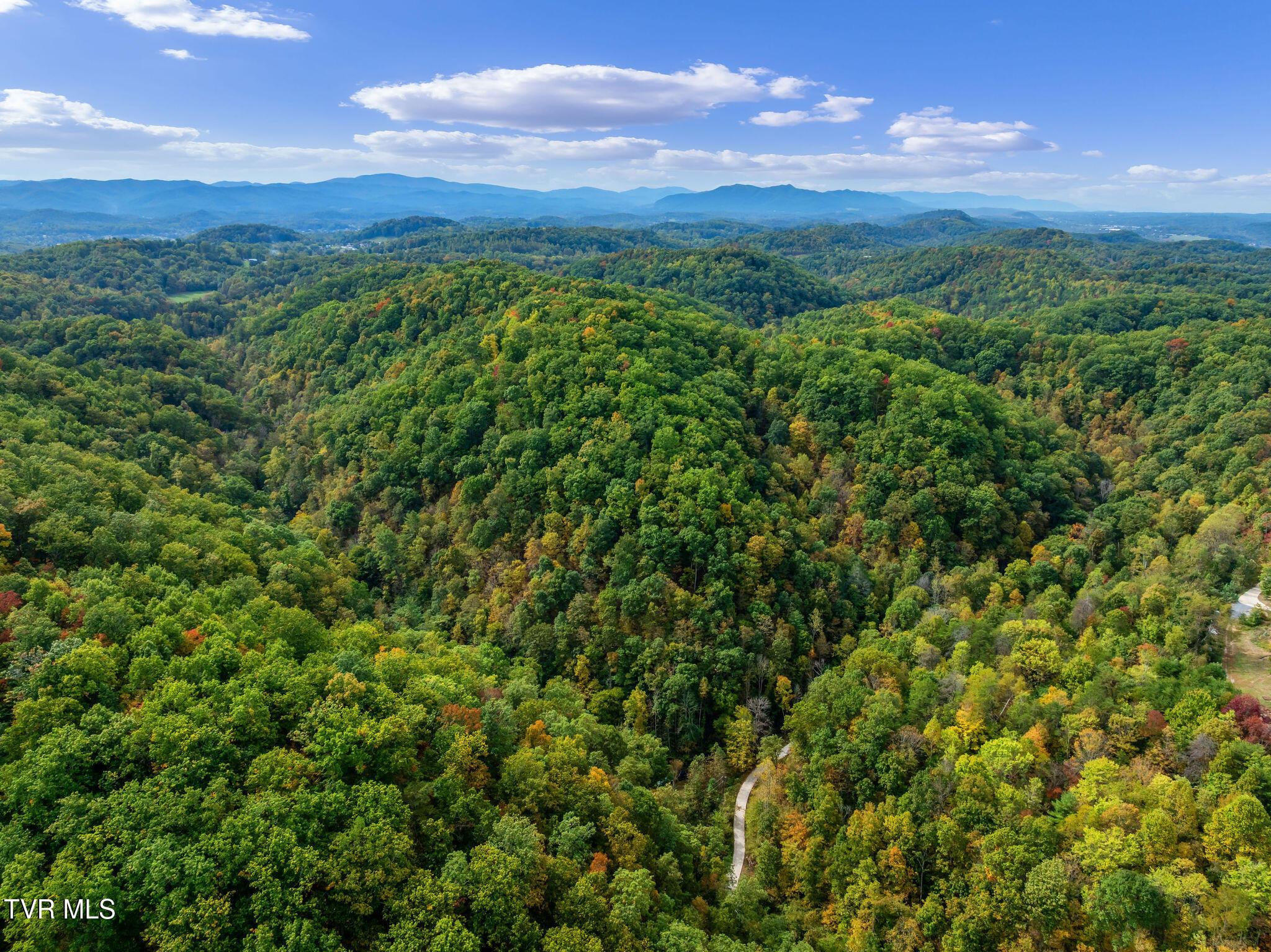 DJI_0803