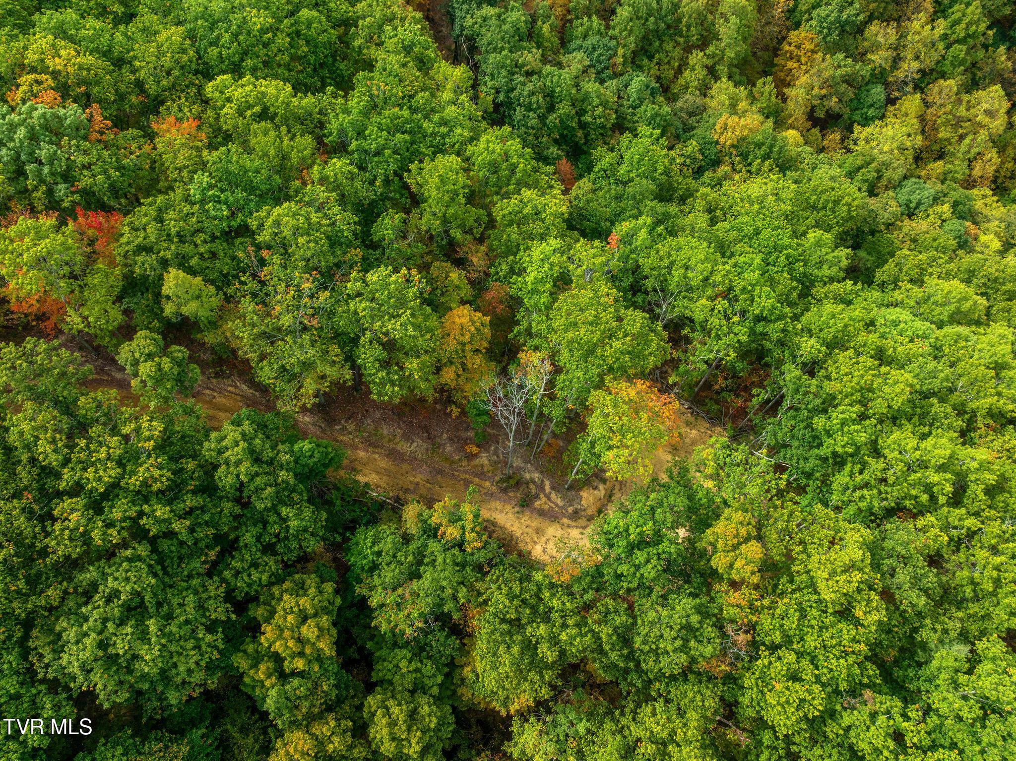 DJI_0814