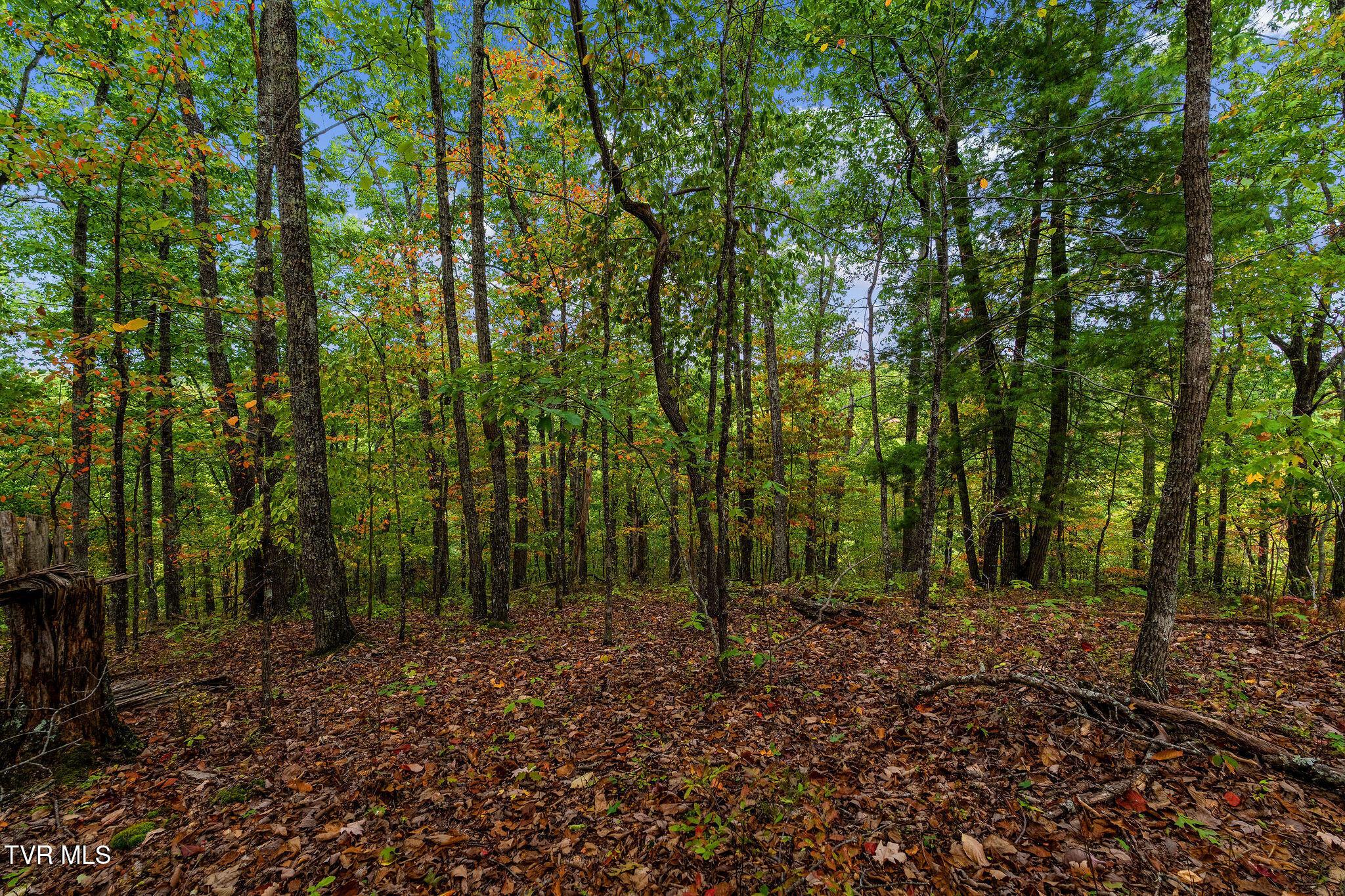 Photo of 34.73 ac land at Tbd Rasnick Hollow Road